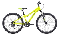 Fuji Dynamite 24 Comp Citrus 2020